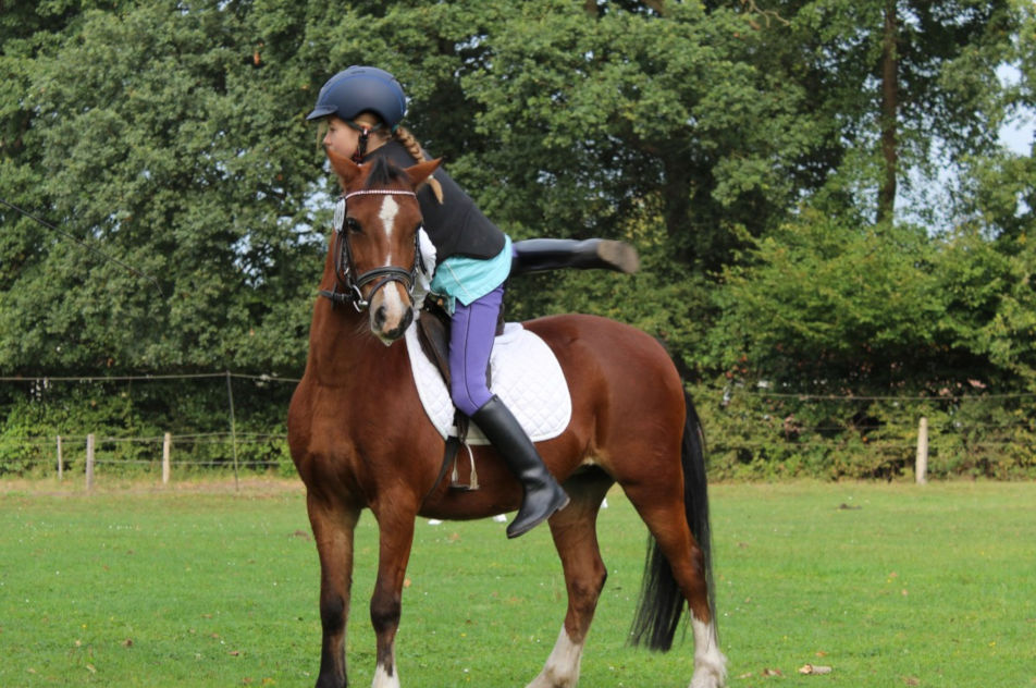 balade poney animalia parc