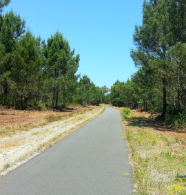 itinéraire velodysee gironde