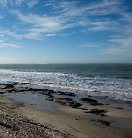 plage bassin arcachon