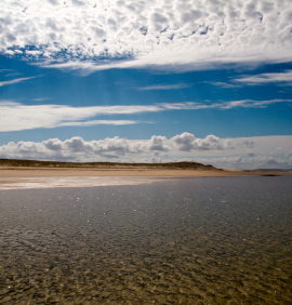 vacances bassin arcachon