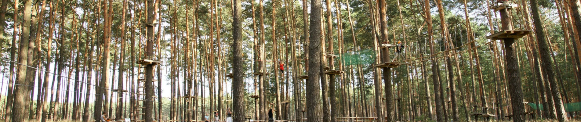 accrobranche gironde