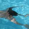 camping bordeaux avec piscine