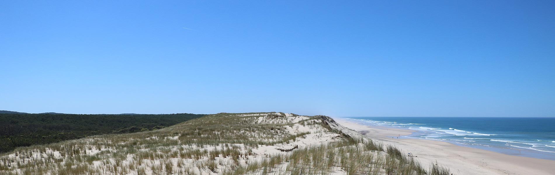 Dunes et Marais d'Hourtin