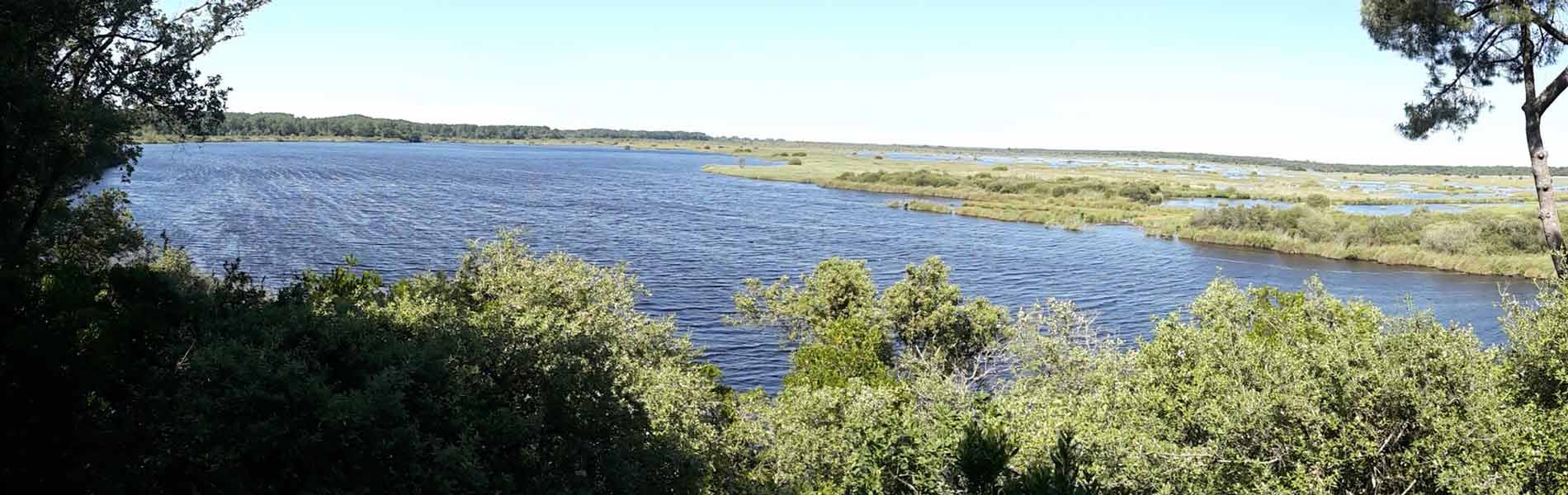 Réserve naturelle de l'étang de Cousseau à Lacanau