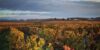 vins bordelais
