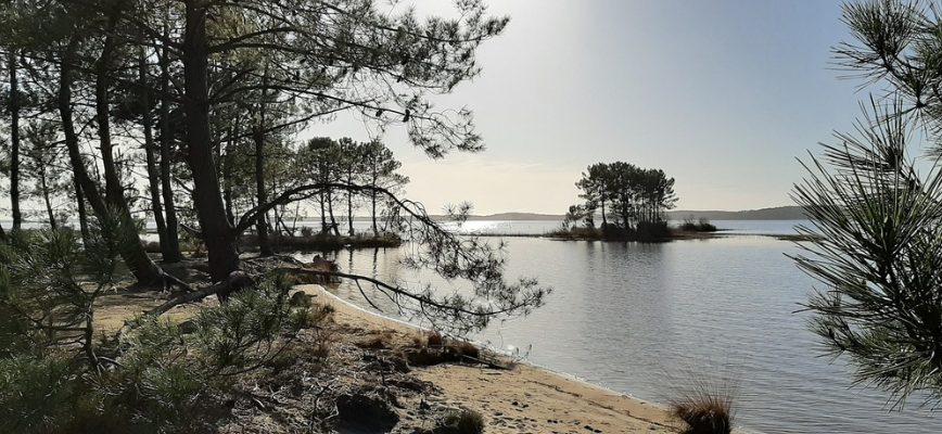 lac de Lacanau