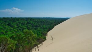 Découvrez les activités à faire en Gironde avec les enfants