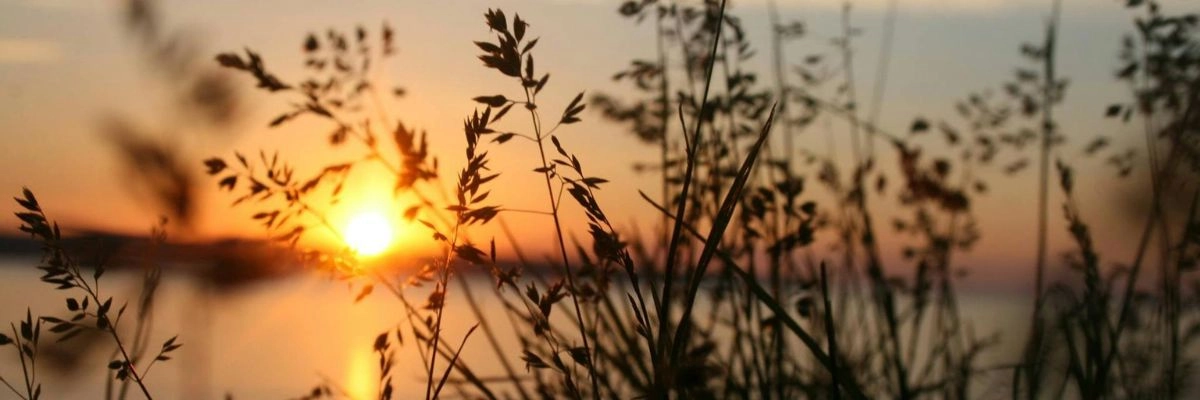 coucher de soleil à lacanau
