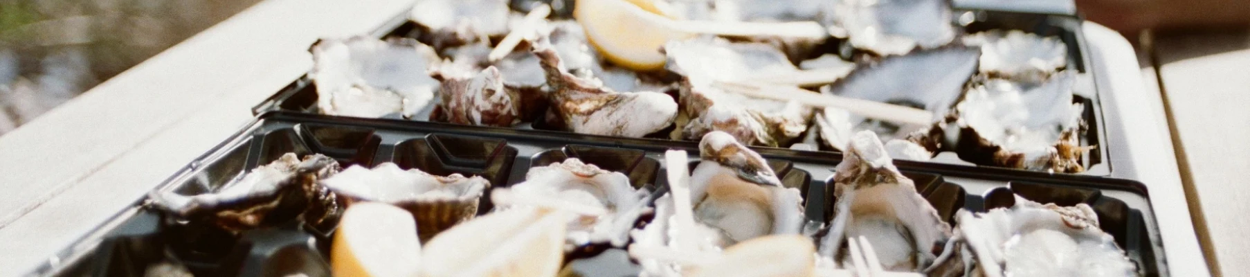 dégustation d’huître au Bassin d’Arcachon