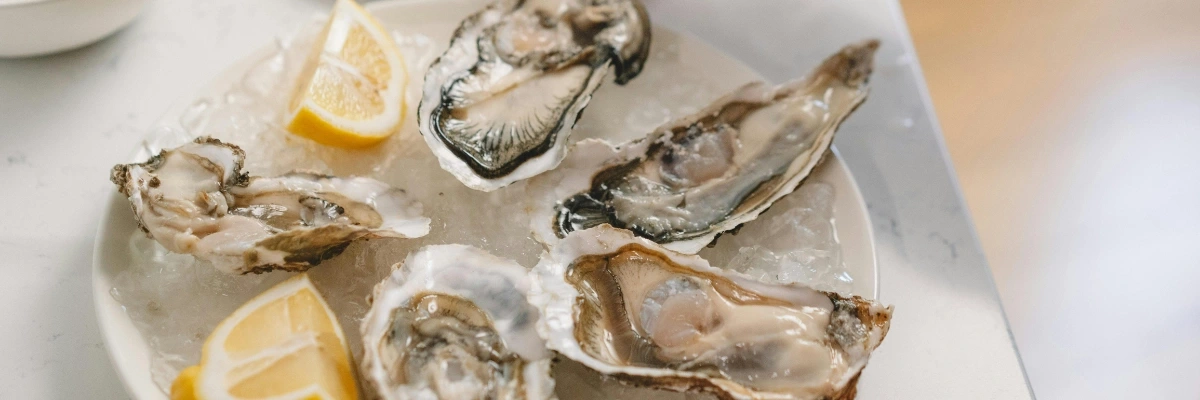meilleures adresses pour déguster des huîtres à Arcachon